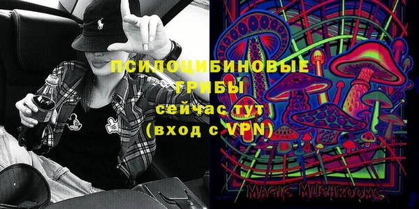 индика Аркадак