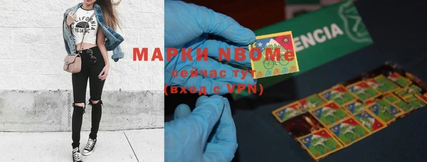 индика Аркадак