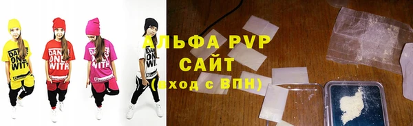 индика Аркадак