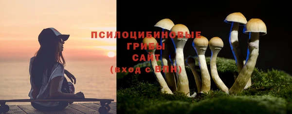 стафф Арсеньев