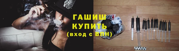 индика Аркадак