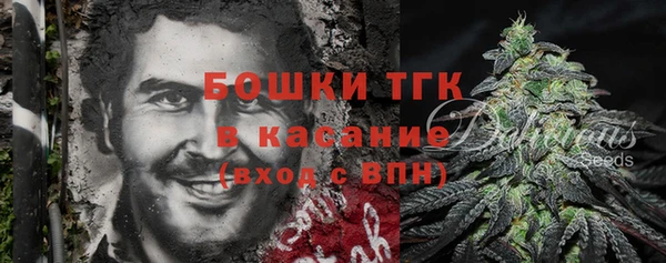 индика Аркадак