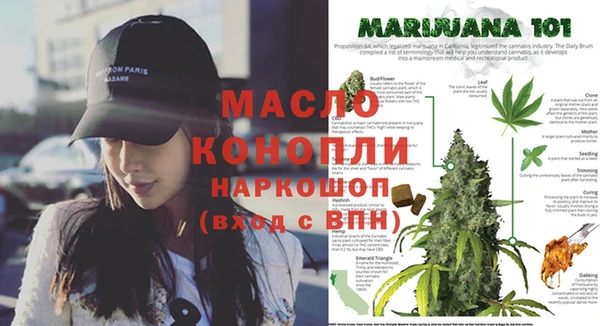 индика Аркадак