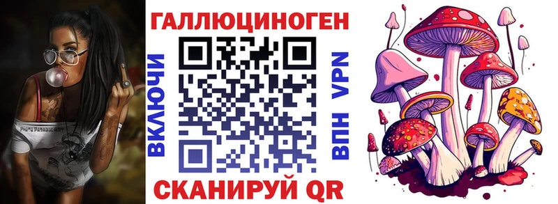 Галлюциногенные грибы GOLDEN TEACHER  Соль-Илецк 